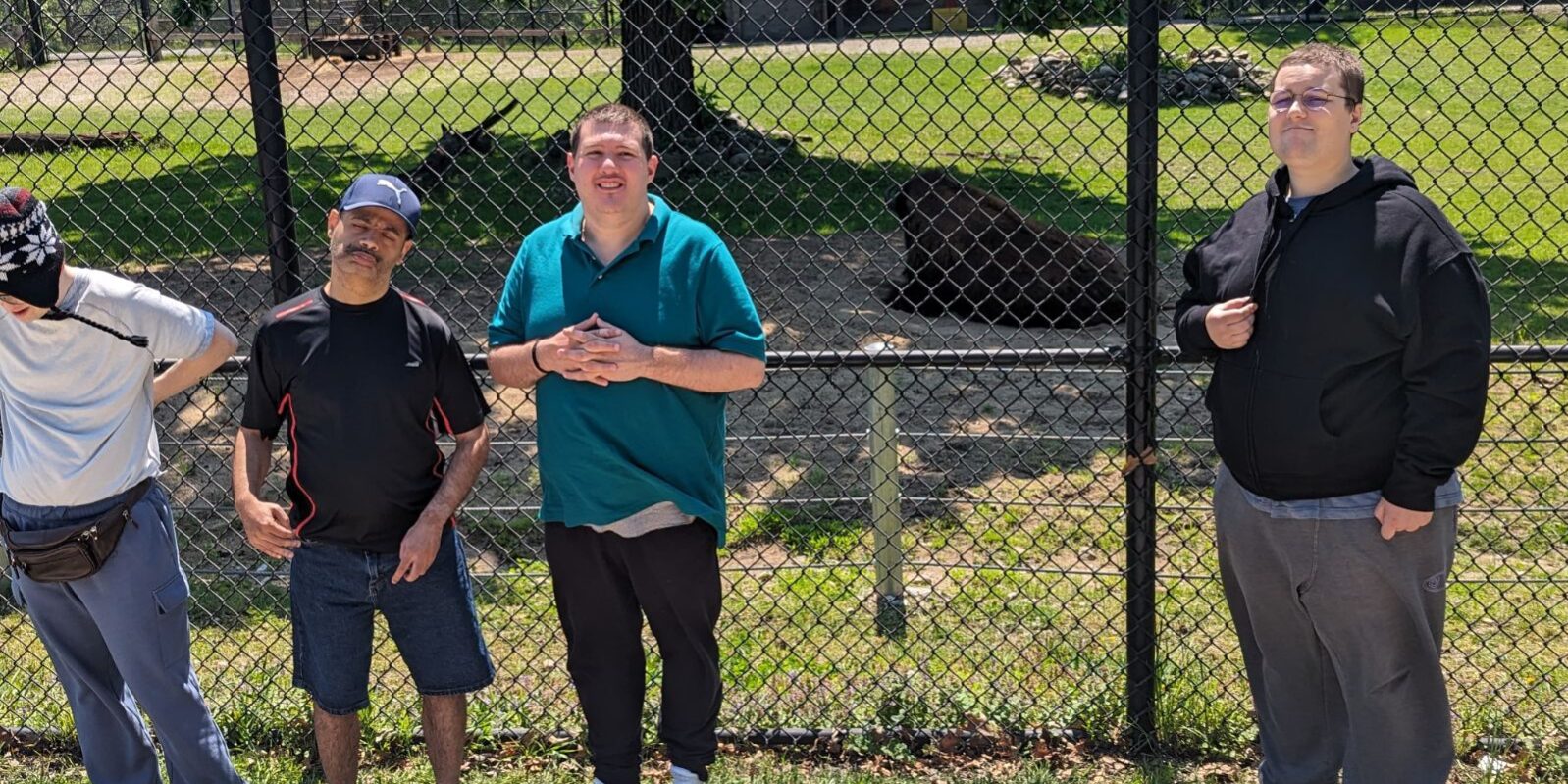 Men posing by a fence containing a bison at a zoo