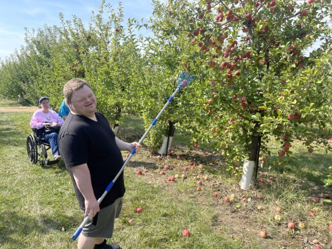 Individual picking apples with a long-armed apple picker